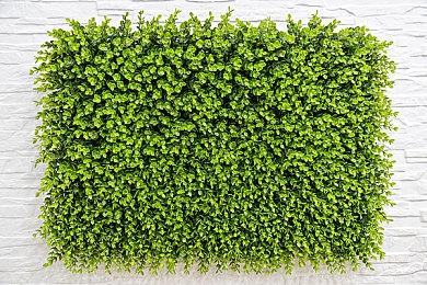 《炉石传说》被移出亚运会项目 因暴雪国服已关闭